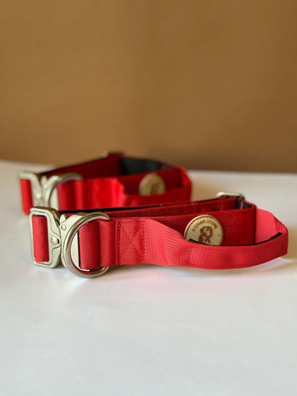 4 cm tactical collar / With handle and cobra-type buckle - Red